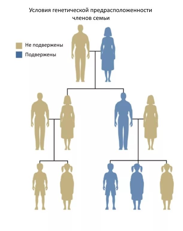 Наследственное предрасположение. Схема передачи шизофрении по наследству от матери. Схема наследования шизофрении. Генетическая схема наследования шизофрении. Схема передачи шизофрении по наследству от отца.