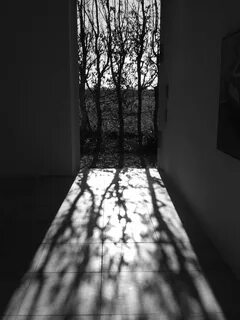 See shadow