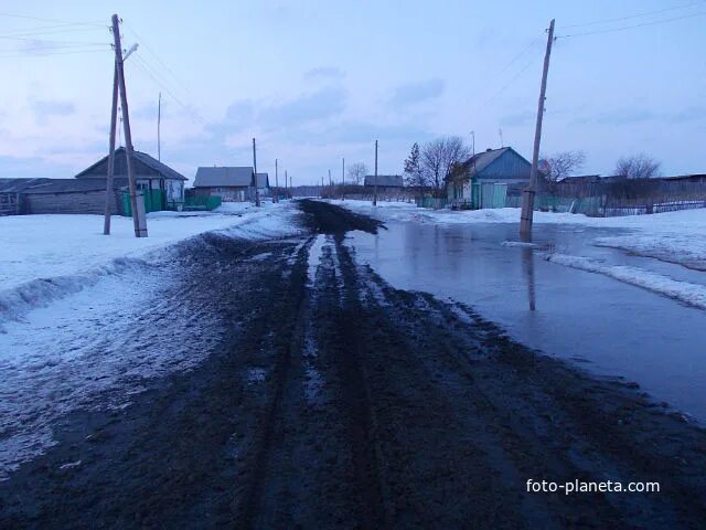 Новоандреевка алтайский край бурлинский район. Деревня новоандреевка сладковский район. Новоандреевка тюменская область. Новоандреевка тюменская область. Новоандреевка тюменская область сладковский район.