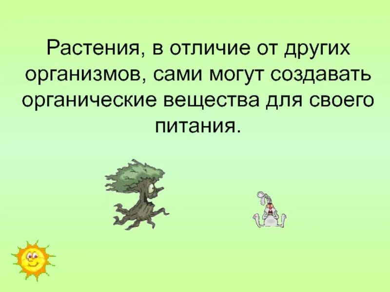 Чем животные отличаются от растений кратко. Отличие растений от других организмов. В чем отличие растений от других живых организмов. Отличие животных от других организмов. Чем растения отличаются от других организмов.