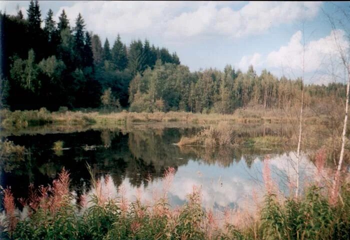 Озеро глубокое рыбалка. Озеро глубокое Рузский район. Озеро глубокое Кингисеппский район. Озеро глубокое Московская область Андреевское. Озеро глубокое Воронеж.