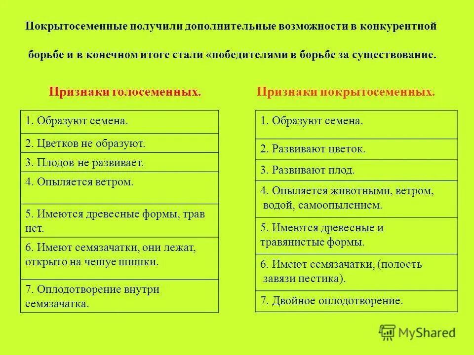 Установите соответствие признаков покрытосеменных