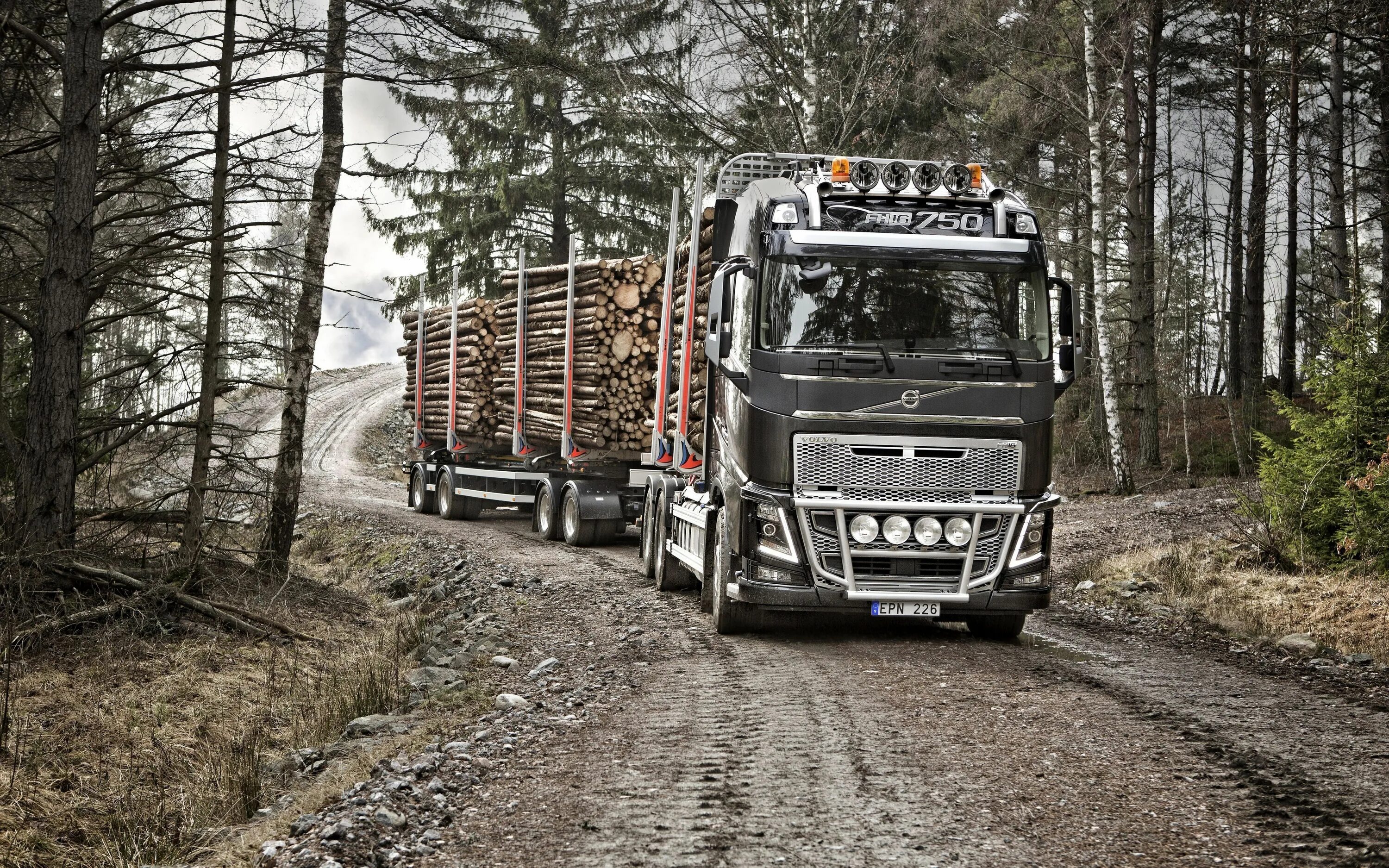 Volvo fh16 750 лесовоз. Volvo fh16 сортиментовоз. Volvo fh16 750 сортиментовоз. Volvo fh16 лесовоз. Груженный грузовик