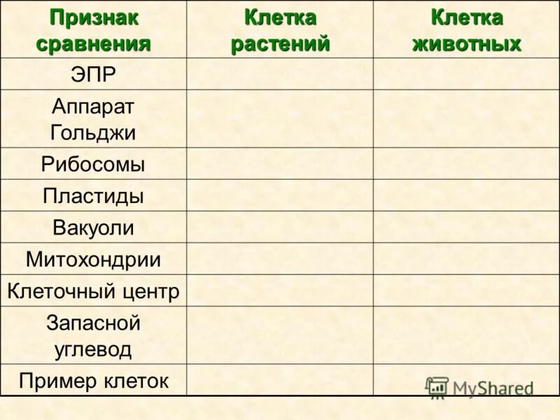 признаки животной клетки. общие признаки для клеток растений и животных. способ питания растительной клетки и животной клетки. запасной углевод животной клетки и растительной. отличие растительных клеток от животных.