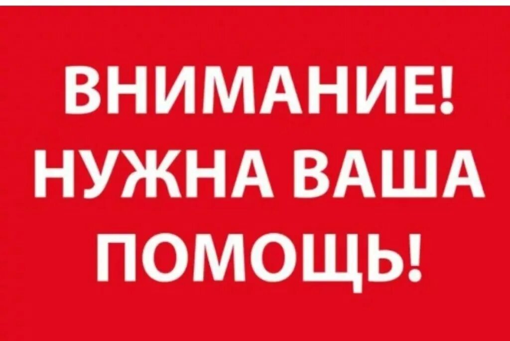 Внимание срочно. Нужна ваша помощь. Внимание нужна помощь. Нужна помощь картинка. Внимание нужна ваша помощь.