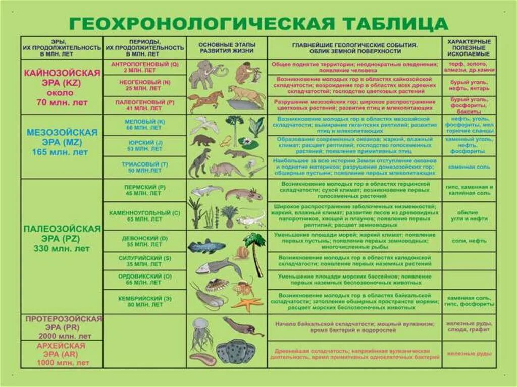 Геохронологическая таблица Эволюция растений. Таблица Геохронологическая таблица. Геохронологическая таблица эры и периоды. Геохронологическая таблица биология.