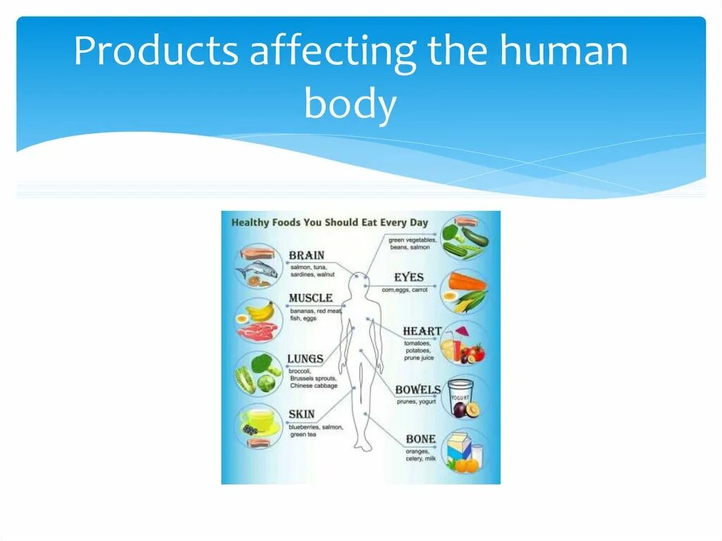 You are what you eat ответы. You are what you eat картинки. Буклет на тему you are what you eat. You are what you eat twin experiment. You are what you eat.