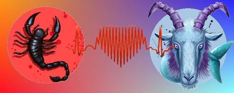 Скорпион. Знаки зодиака. Козерог и скорпион совместимость. Козерог и скорпион. Коза скорпион.