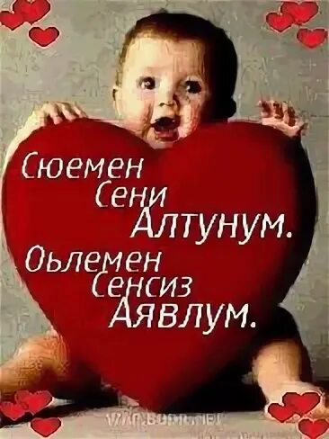 Аявлум мени