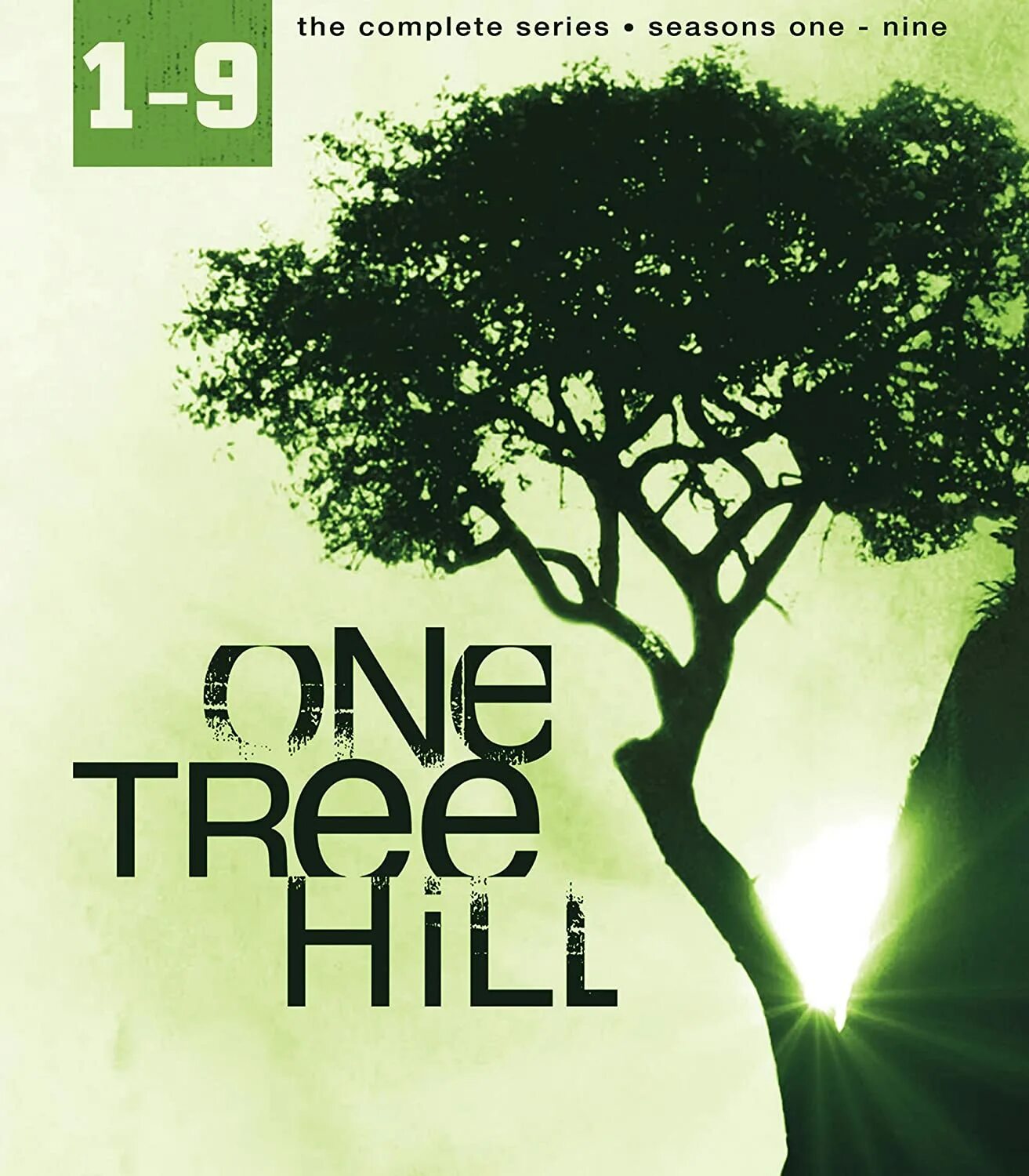 One tree. Хилое дерево. хилое деревце в тени других деревьев. антти лайтинена для проекта one tree.