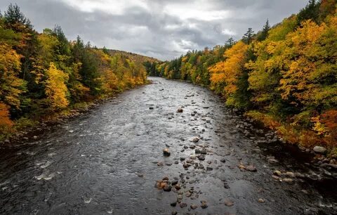 Fell river