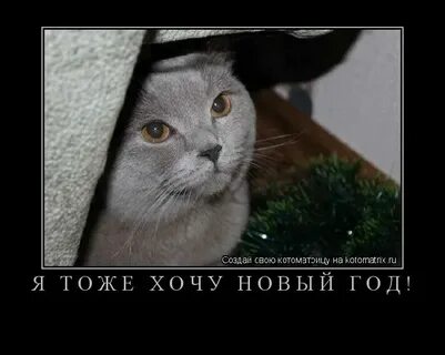 Я тоже так решил