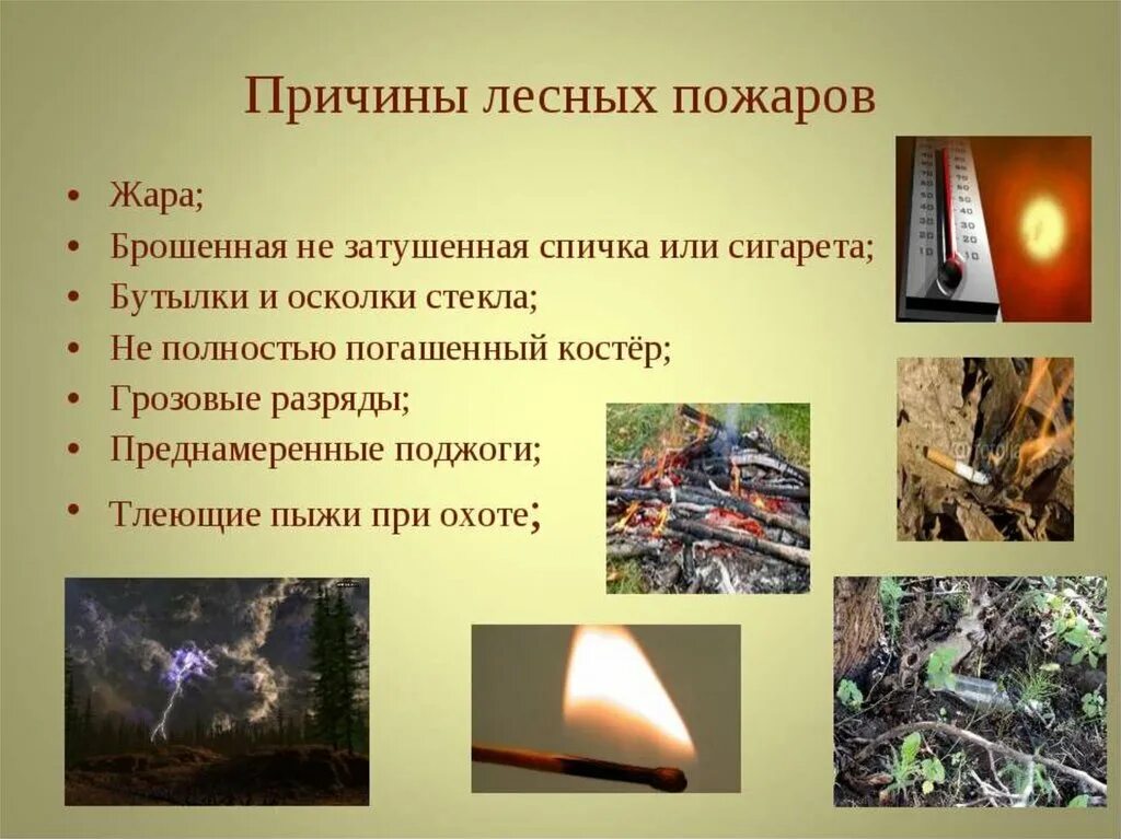 Естественные факторы возгорания лесных пожаров. Причины возникновения лесных пожаров. Природные причины лесных пожаров. Причины лесных пожаров ОБЖ