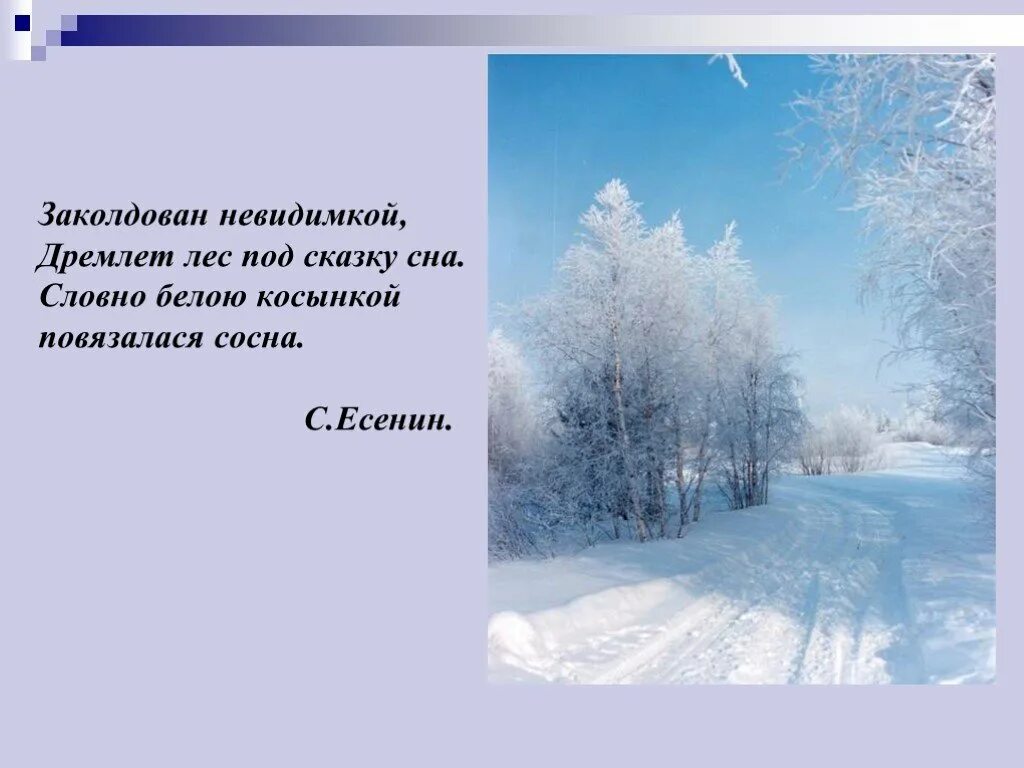 Кто написал заколдован. Стихи про зимний лес. Заколдован НЕВИДИМКОЙ дремлет лес. Заколдован НЕВИДИМКОЙ дремлет лес под сказку. Стих про зимний лес короткие.