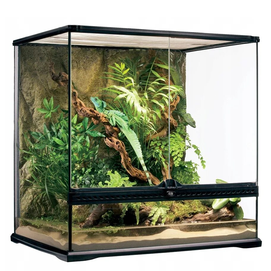 Террариум exo terra 90x45x45 см. Террариум exo terra 60x45x30. Террариум exo terra 60х45х45. Террариум exo terra 30х30х30. Террариум exo terra 90x45x30см.