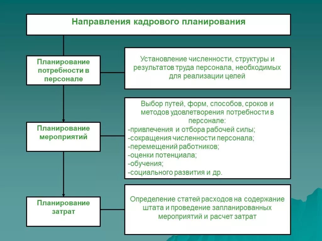 Организация методика планирования. Основные направления кадрового планирования. Кадровое планирование в организации. Планирование персонала в организации. Кадровое планирование потребности в персонале.