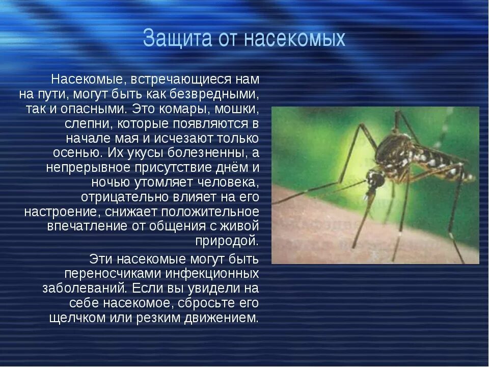 Комар какая среда. Способы защиты от насекомых. Способы защиты от ядовитых насекомых. Малярийный комар где обитает. Комары презентация.