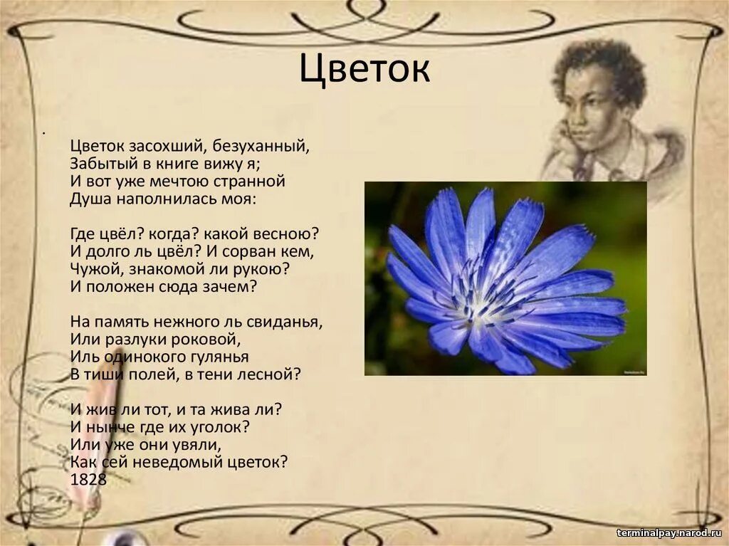 Пушкин стих цветок засохший безуханный. Стихотворение Пушкина цветок. Цветов стихотворение а с пушкин