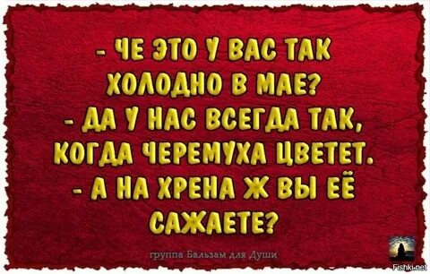 А вы с ней