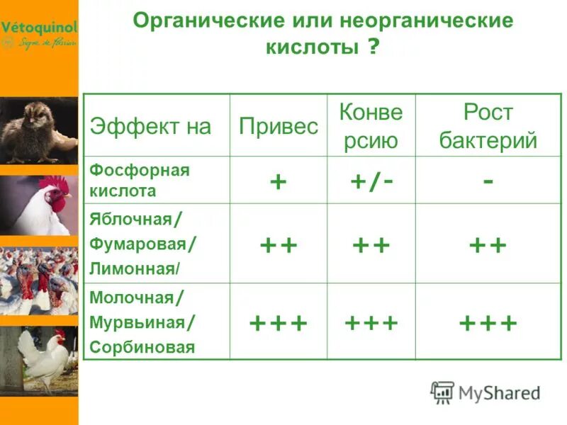 лимонная кислота органическая или неорганическая. органические кислоты в растениях. классификация кислот в химии органические и неорганические. лимонная кислота органическая или неорганическая. неорганические и органические кислоты их классификация.