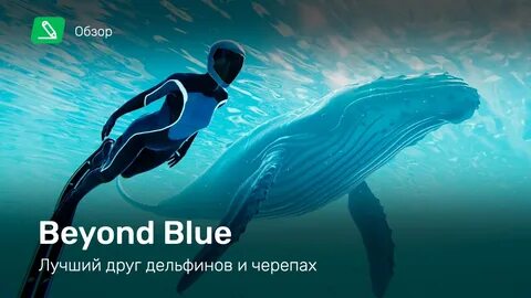 Обзор синий