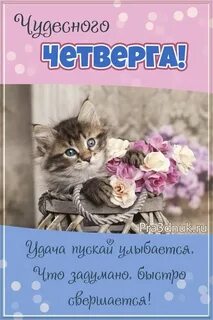 Животное четверга