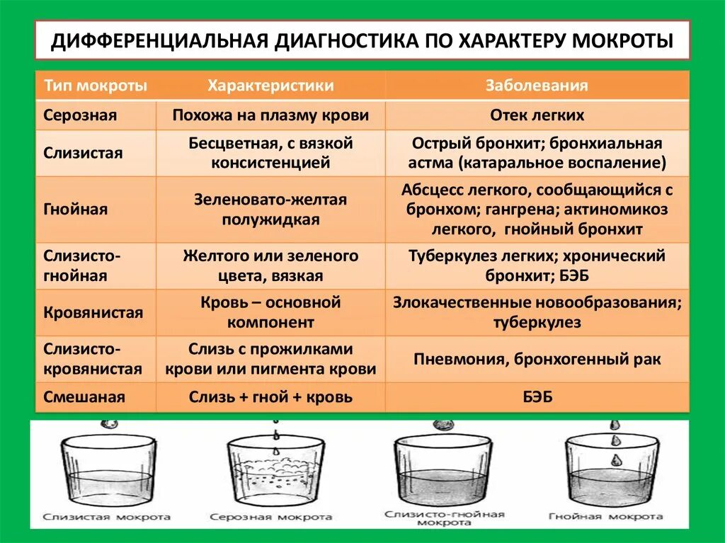 Тяжести мокроты. Анализы мокроты виды. Типы мокроты по цвету.