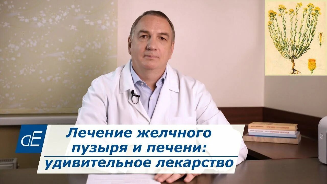 Доктор Евдокименко. Доктор Евдокименко желчный пузырь. Доктор Евдокименко ютуб. Доктор Евдокименко о печени. Доктор евдокименко панкреатит