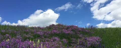 Волшебный огонёк Свечи из природного пчелиного воска с травами 2024 ВКонтакте