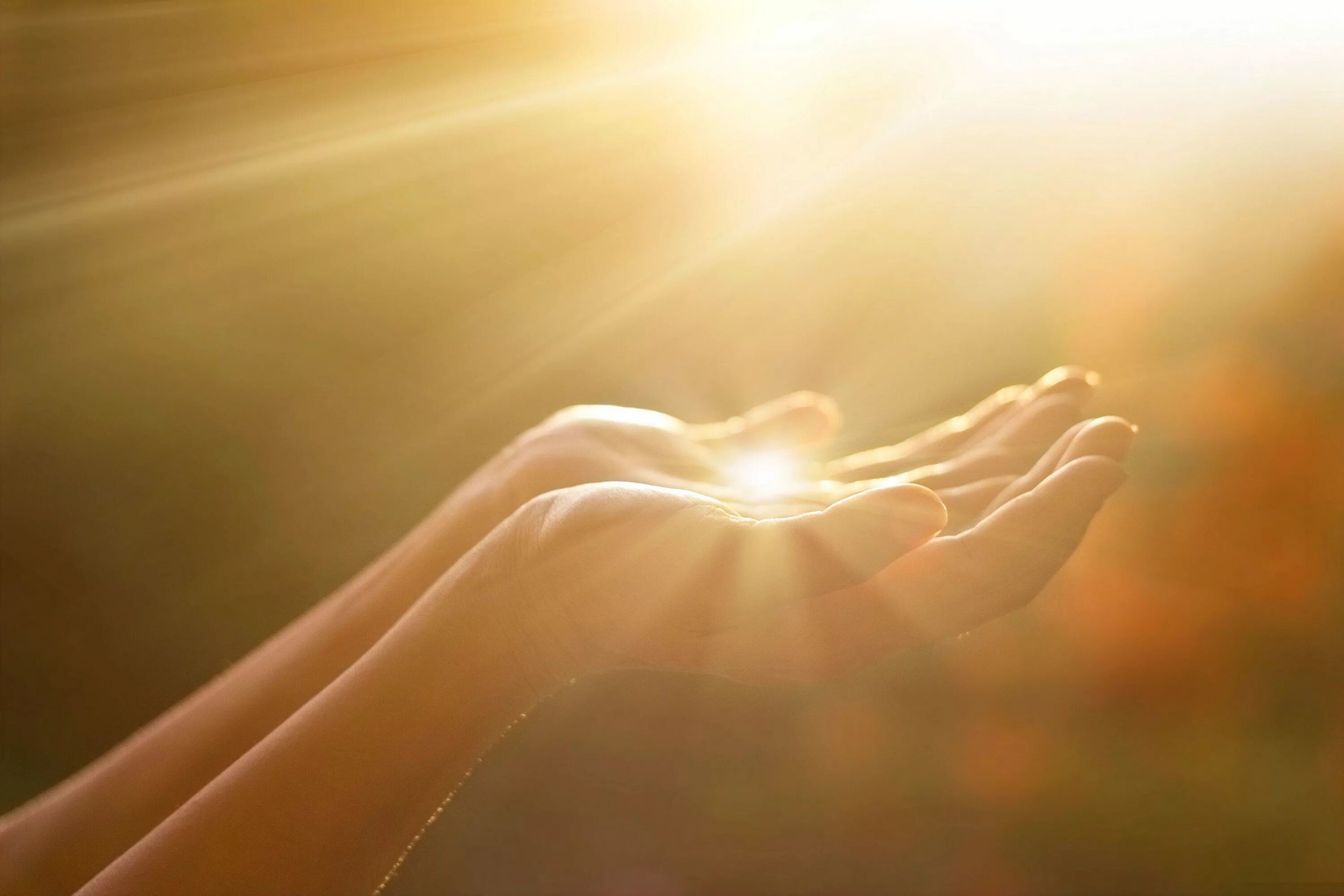Солнце в ладошках. Лучик солнца в руке. Солнце на ладони. Солнце в руках. Ты и есть луч света