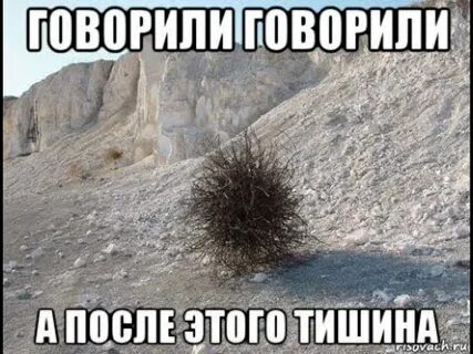 Тишина корень