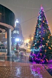 Ташкент в декабре