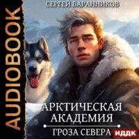 Арктическая академия гроза севера аудиокнига