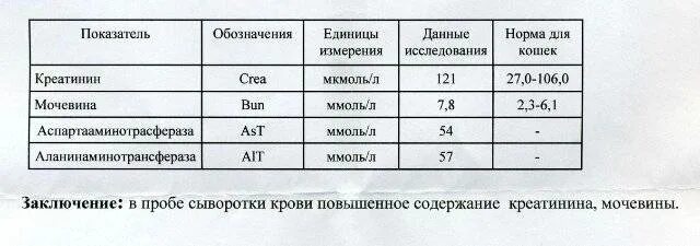 Норма мочевина креатин н. Соотношение креатинин мочевина норма. Соотношение креатинина и мочевины. Норма креатина и мочевины в крови.