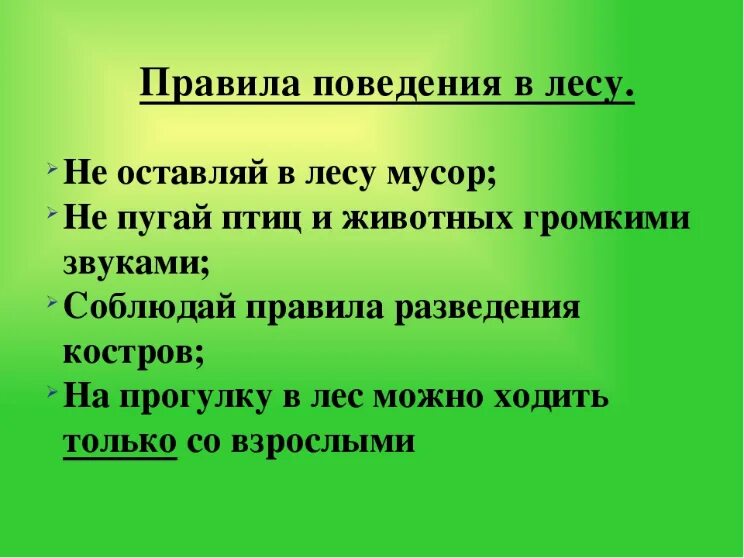 В дали леса как пишется. Вдали в дали примеры предложений. В дали леса как пишется. Соединительные о и е в сложных словах. Как пишется седая.