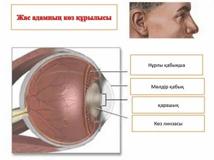 Жалап жатқан қыздардың жасырын камерасы