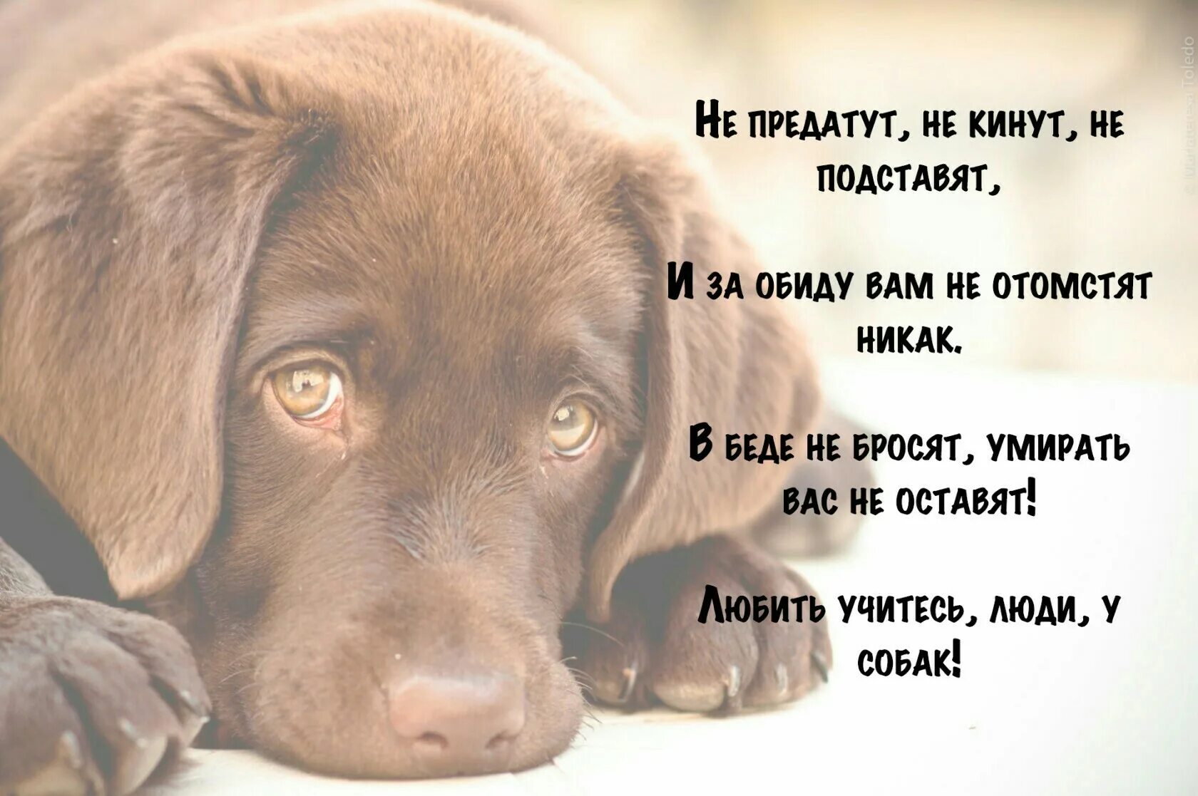 В общем никак