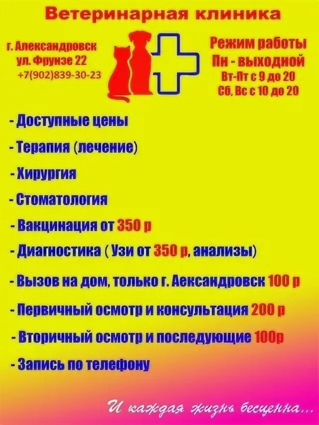 Услуги в александровском. Арт отель александровский кострома. Александровская больница номер спб. Воровсколесская школа 2. Суздаль александровская усадьба.