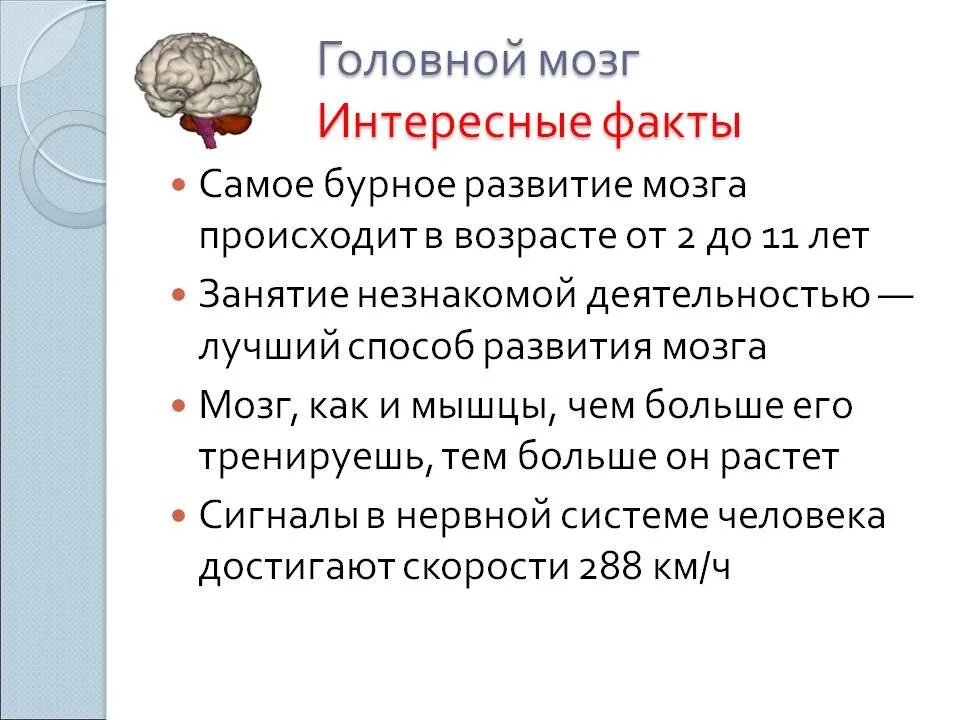 Факты о мозге человека 3 класс. Интересные факты о головном мозге человека 3 класс окружающий. Интересные факты о мозге. Интересные факты о человеке. Факты систем органов человека