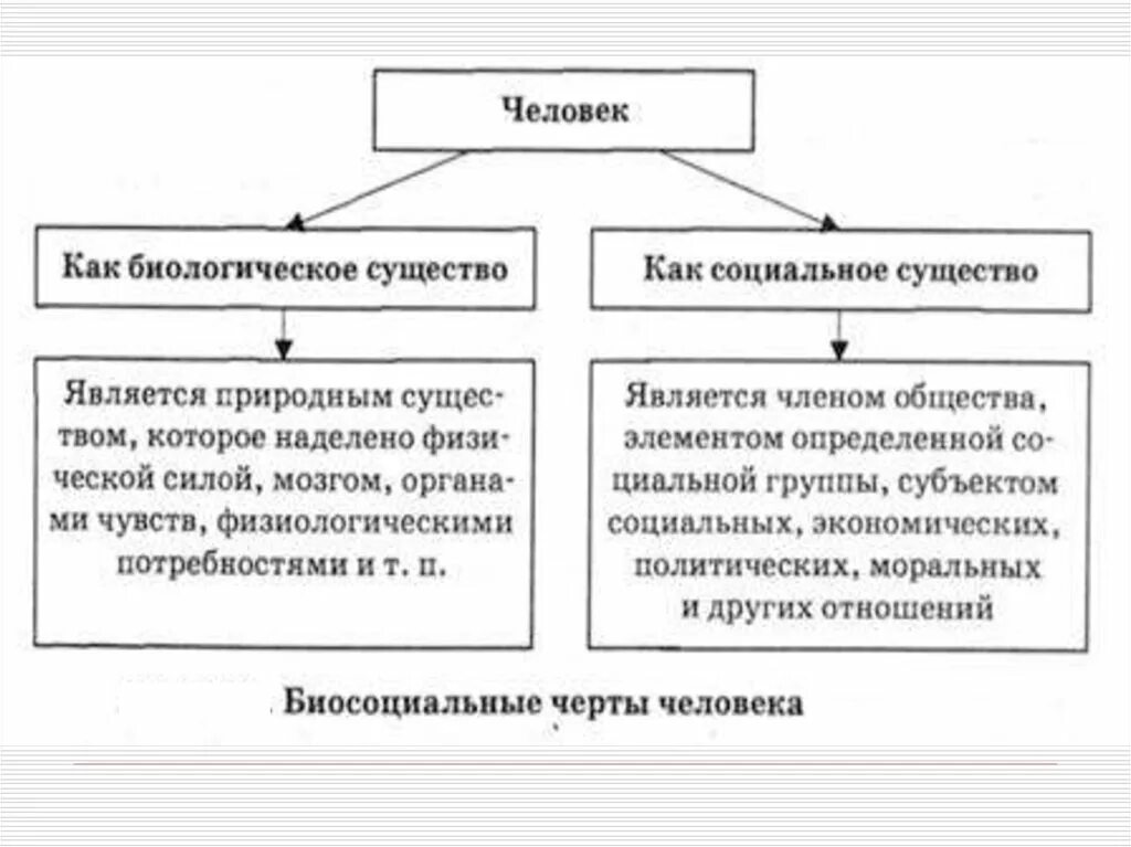 Человек как биологическое и социальное существо. Человек как биологическое существо как социальное существо. Человек биосоциальный вид. Черты человека как биологического существа. Человек это биологическое и социальное существо