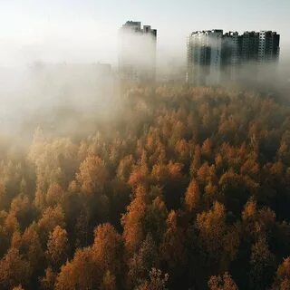 Доброе туманное утро