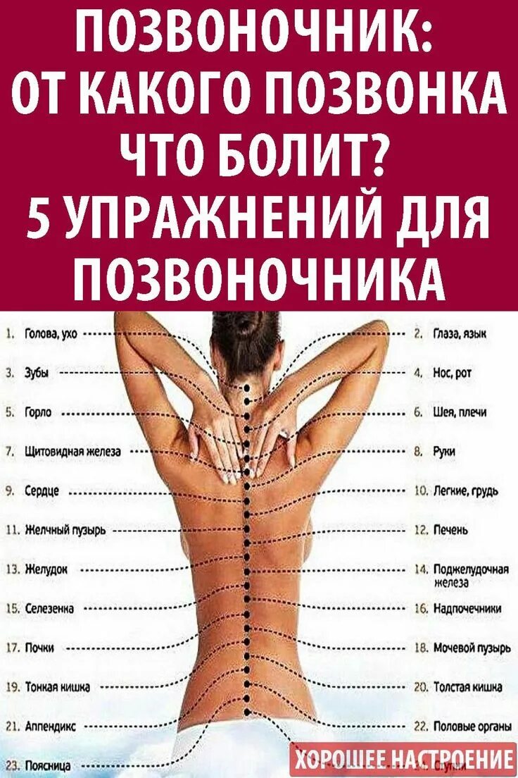 Что означает поясницы. Болит позвоночник. Упражнения для позвоночника. Спина позвоночник. Болит спина позвоночник.