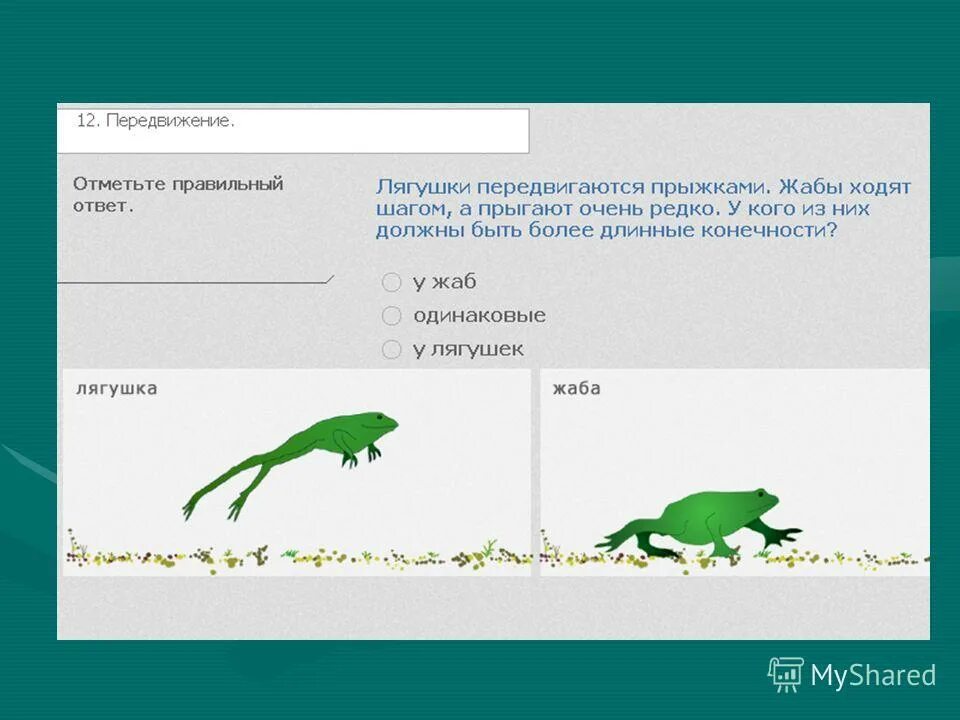 На какую длину прыгает лягушка. Скорость движение лягушки. На какую длину прыгает лягушка. Летающая лягушка. Летающая квакша.