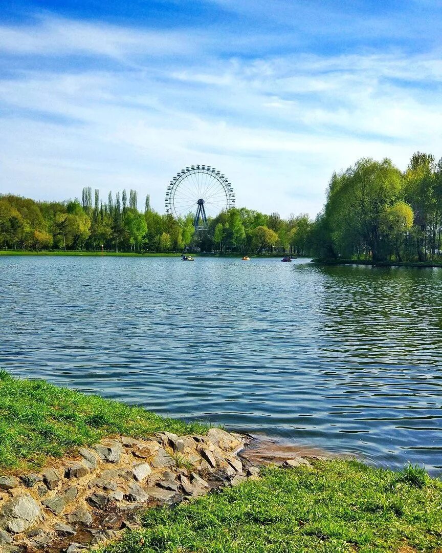 Измайловский парк московский просп 2 фото. Измайловский парк Москва. Лесопарк Измайлово. Измайловский парк Моска. Измайловский парк ПКИО.