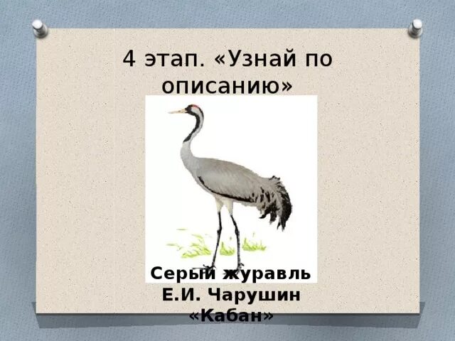 Чарушин журавль. Е И Чарушин кабан. Серый журавль кабан. Чарушин кабан иллюстрации. Чарушин кабан 4 класс тест с ответами