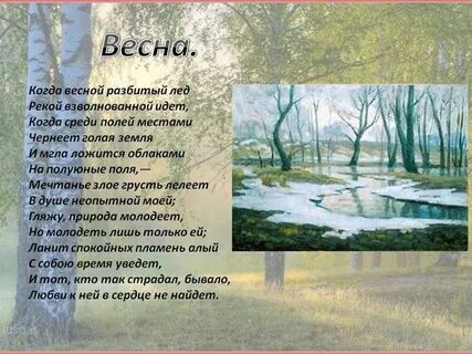 Поэзия беспризорной весны