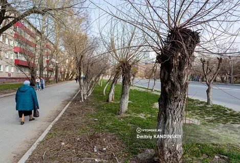 Без обрезки