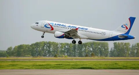Уральские авиалинии отзывы 2024 турция
