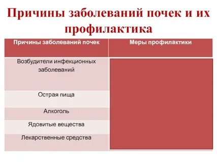 Причины больных почек
