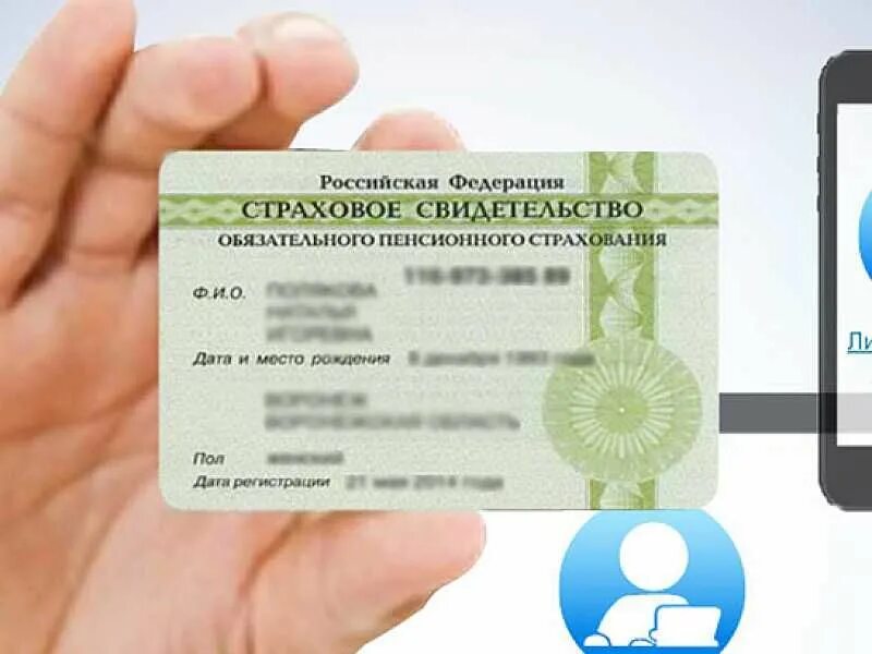 Снилс через интернет. Снилс. снилс карточка. страховой номер. страховой номер индивидуального лицевого счета снилс.